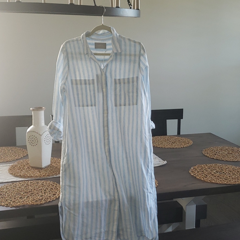 Everlane Shirtdress